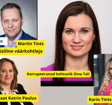Martin Tints, Kohtuni Dina Tali, Karin Tints, advokaat katrin Paulus