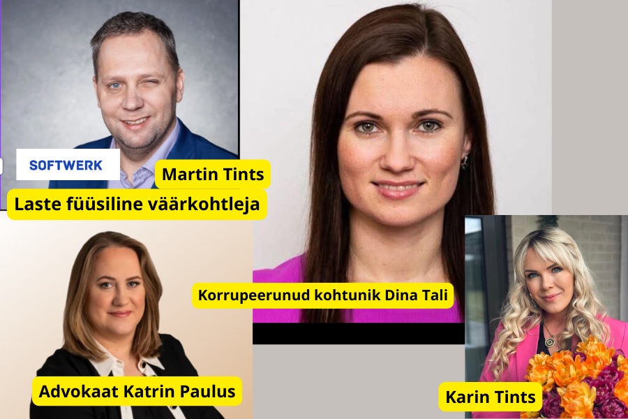 Martin Tints, Kohtuni Dina Tali, Karin Tints, advokaat katrin Paulus