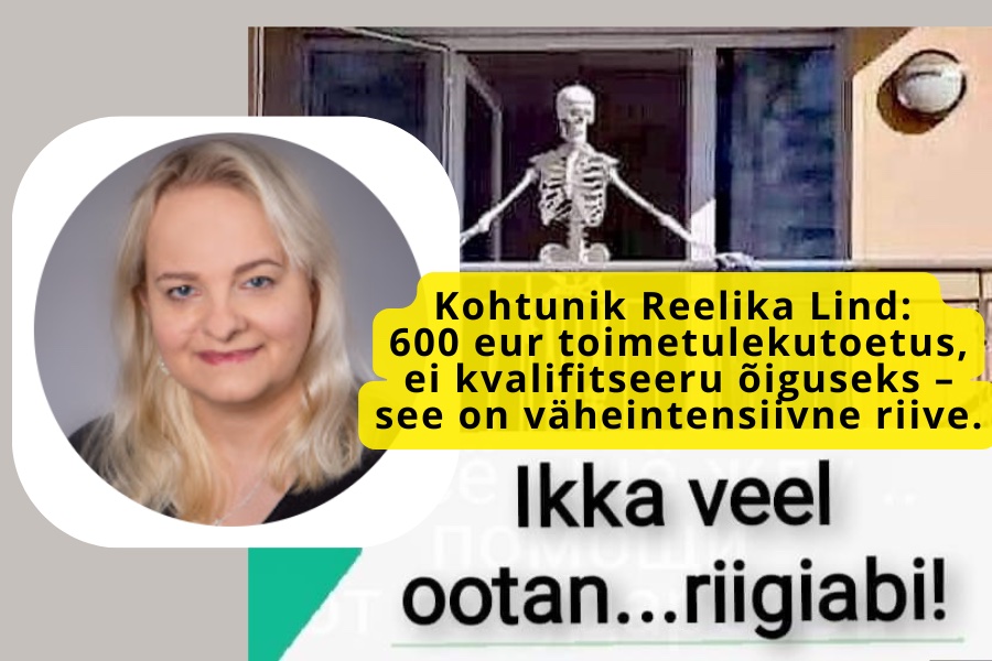 Kohtunik Reelika Lind: 600 eurot toimetulekutoetus ei kvalifitseeru õiguseks – see on väheintensiivne riive.